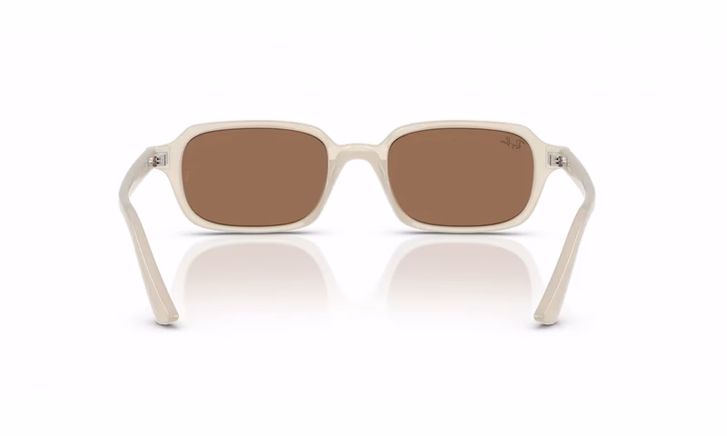 Ray-Ban Zuri RB4455 680873 Ray-Ban Zuri RB4455 680873
