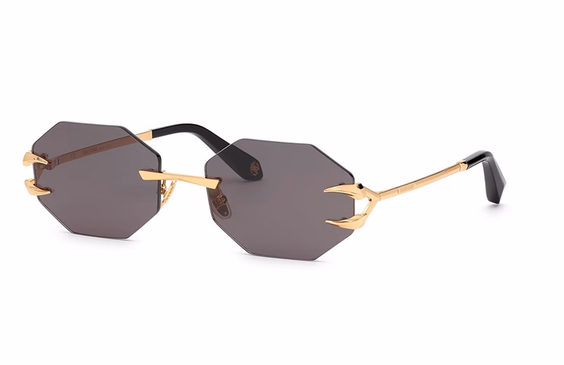 Roberto Cavalli SRC005 0300 Roberto Cavalli SRC005 0300