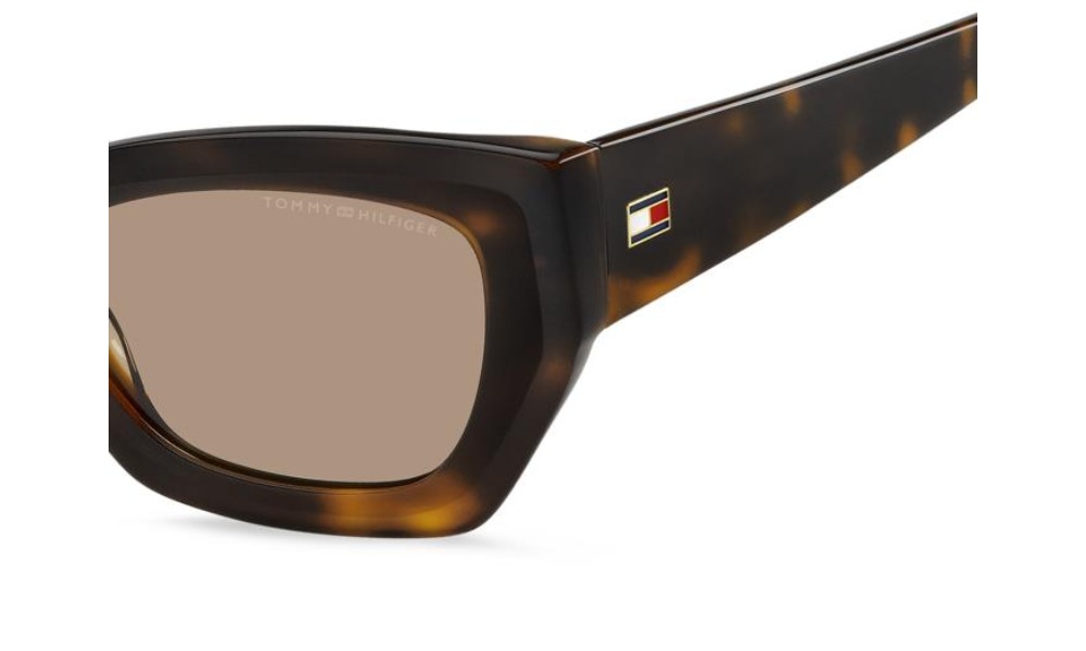 Tommy Hilfiger TH 2254/S 05L 70 Polarizada Tommy Hilfiger TH 2254/S 05L 70 Polarizada
