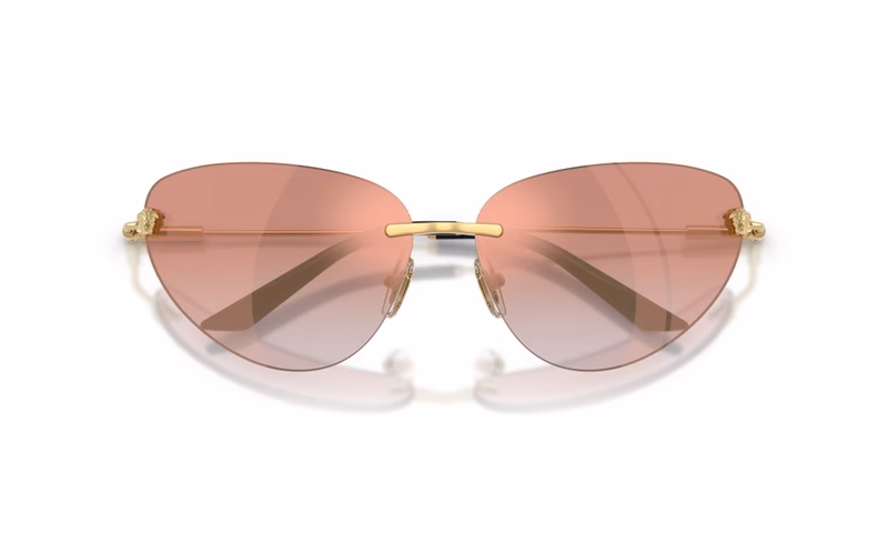 Versace VE2281 10026F Versace VE2281 10026F