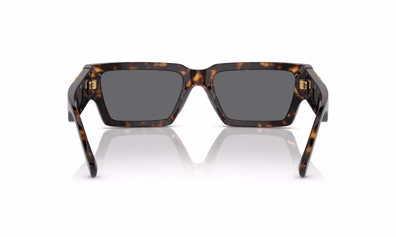 Versace VE4459 108/87 Versace VE4459 108/87