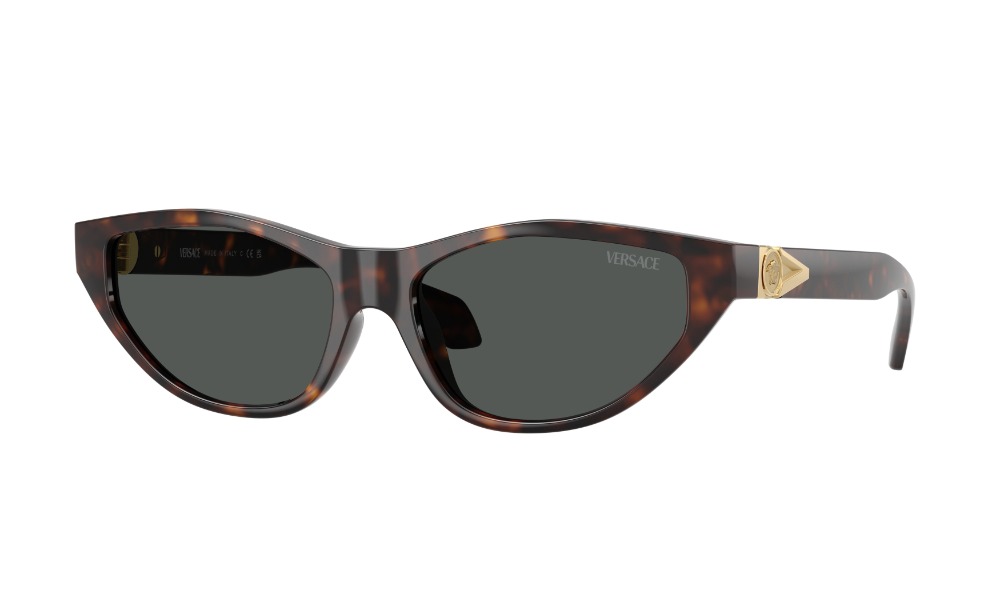 Versace 0VE4491U 108/87 Versace 0VE4491U 108/87